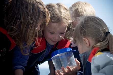 HWDT visits schools across the west coast of Scotland to champion the special diversity of its marine life